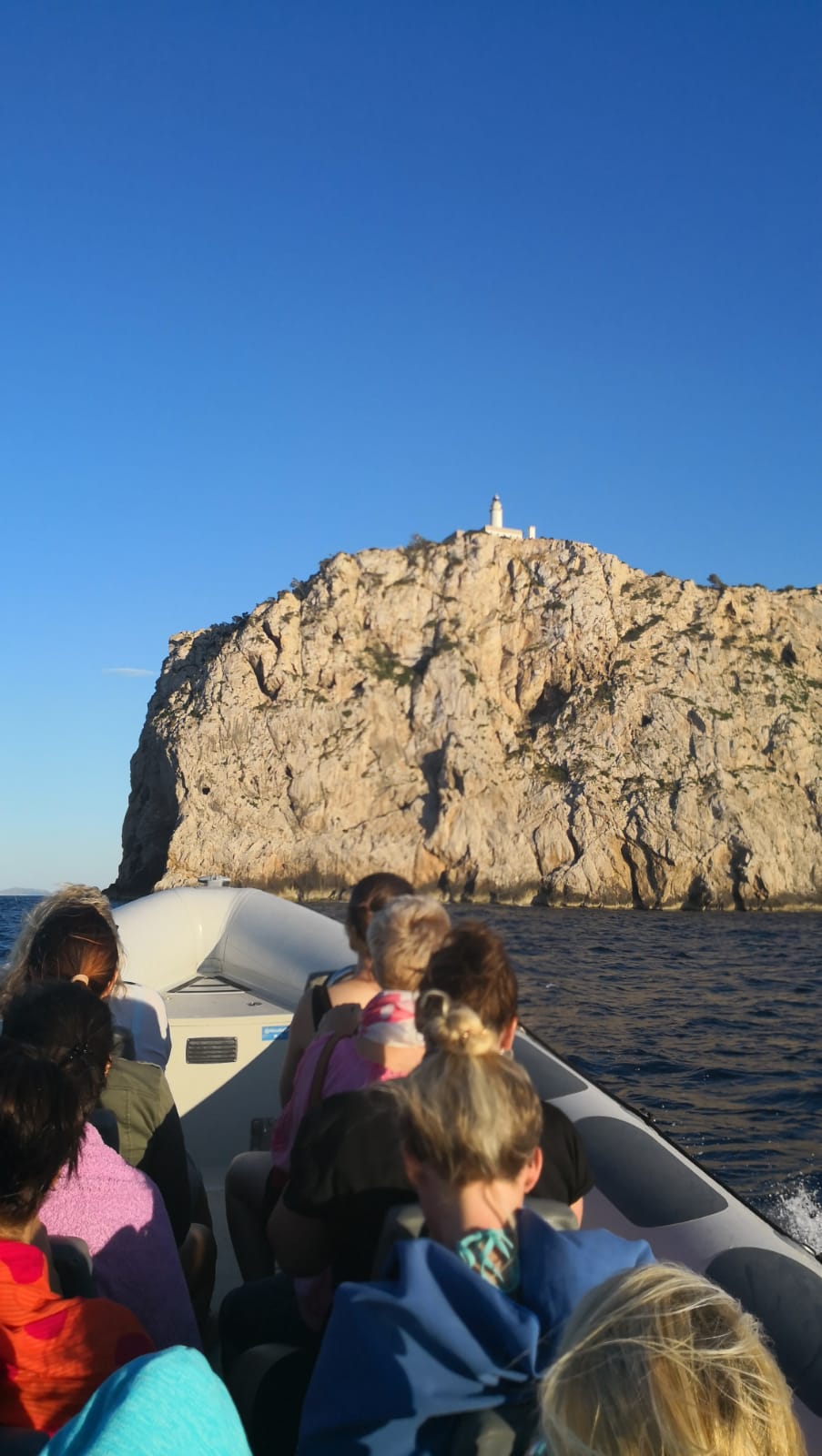 Alcudia Sea Explorer - Boat trips